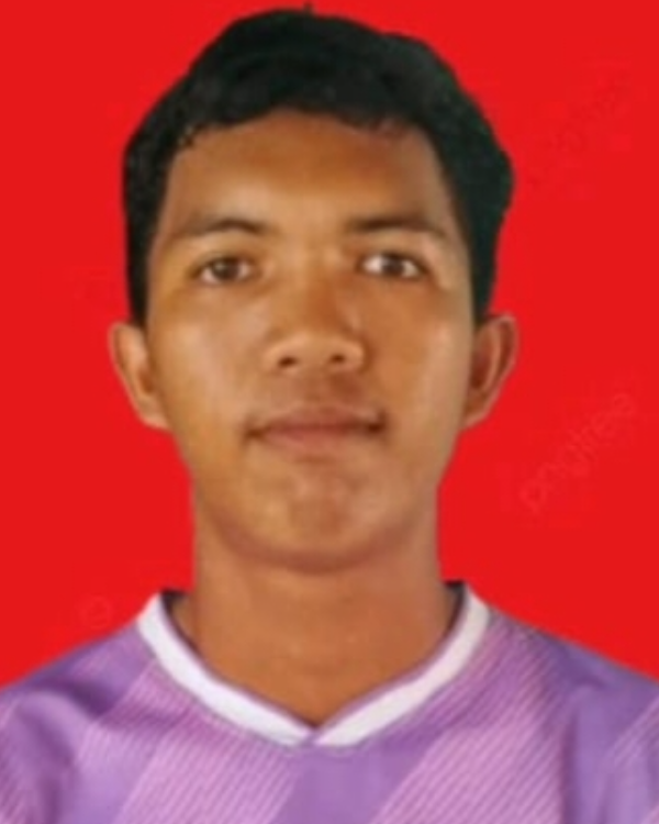 Hafiz aufal
