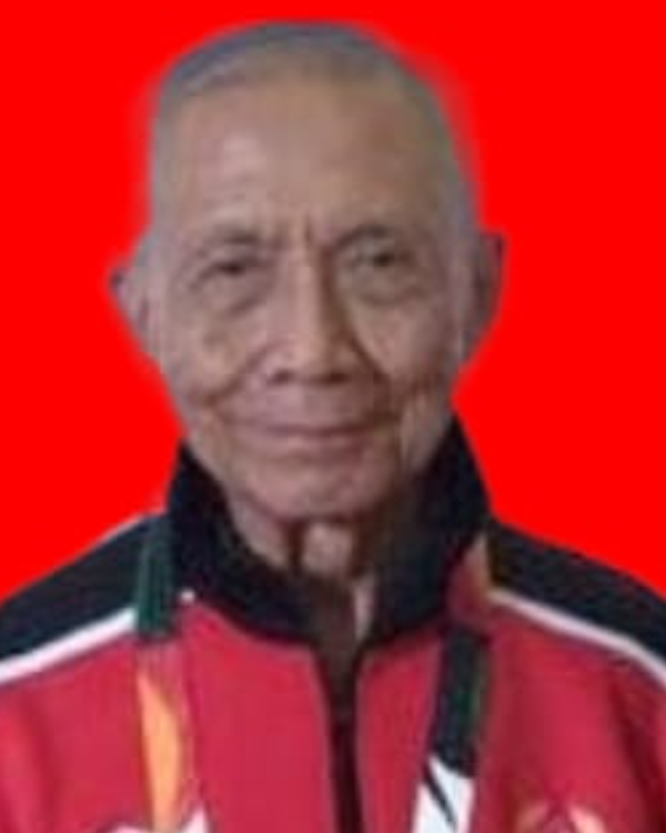 RADEN HENDRO PRATONO